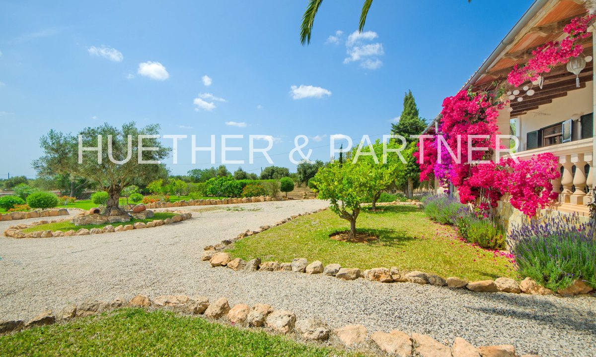 8f7ed531-dc74-4b02-a906-99f9a5d7f241