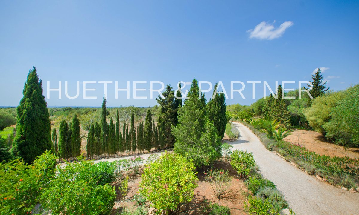 eaff22ef-c8e0-4abe-878a-c778d5f36f03