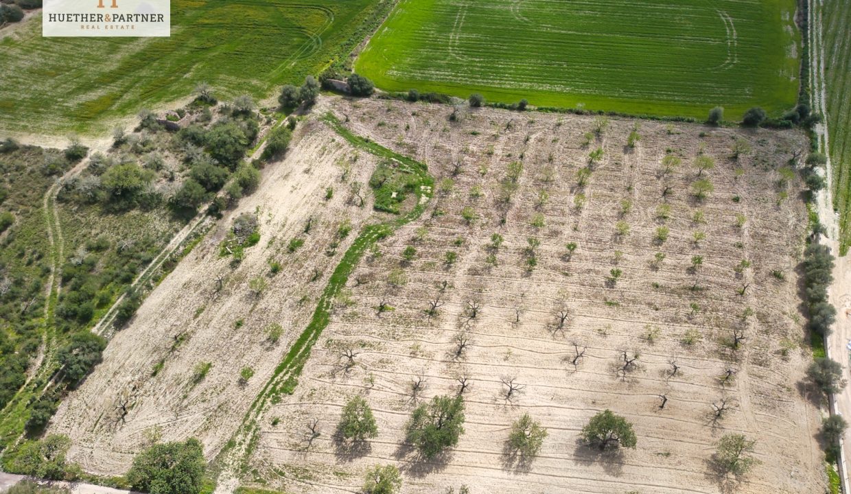 63a7a72b-7e1d-4ddb-853f-dcdbb8fb4a17