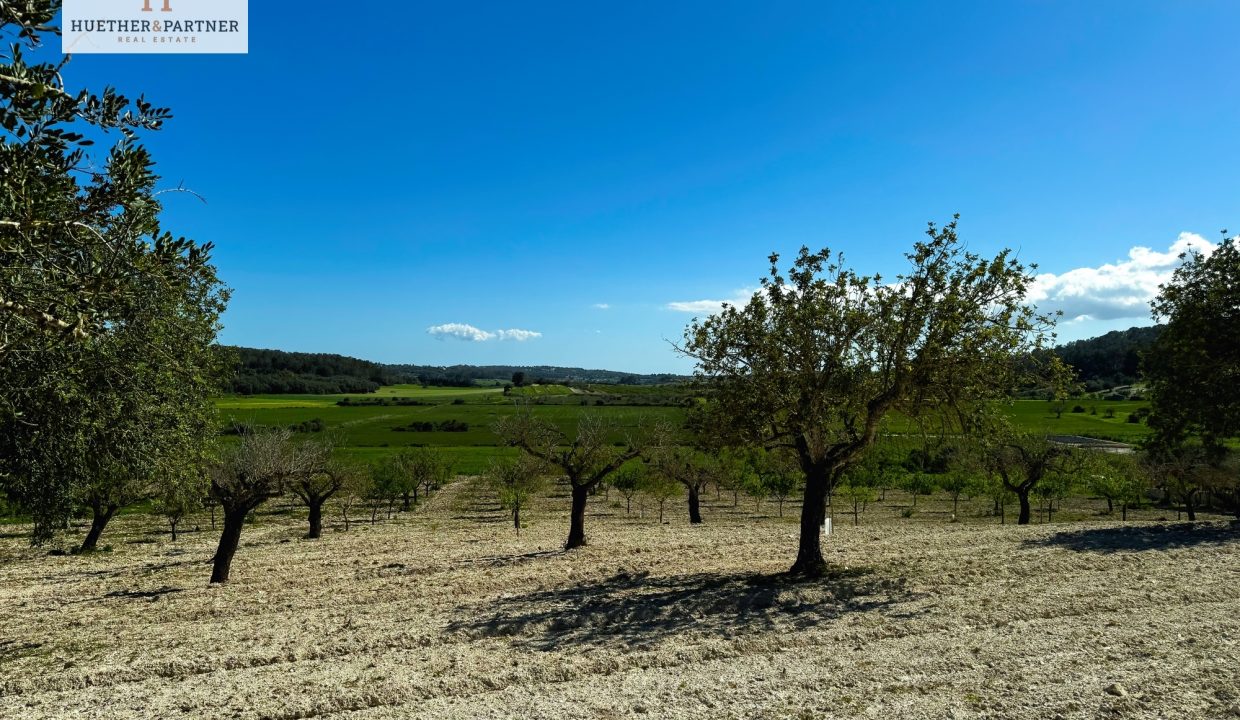 442ff390-299d-4f70-9226-bfa6d5b79d52