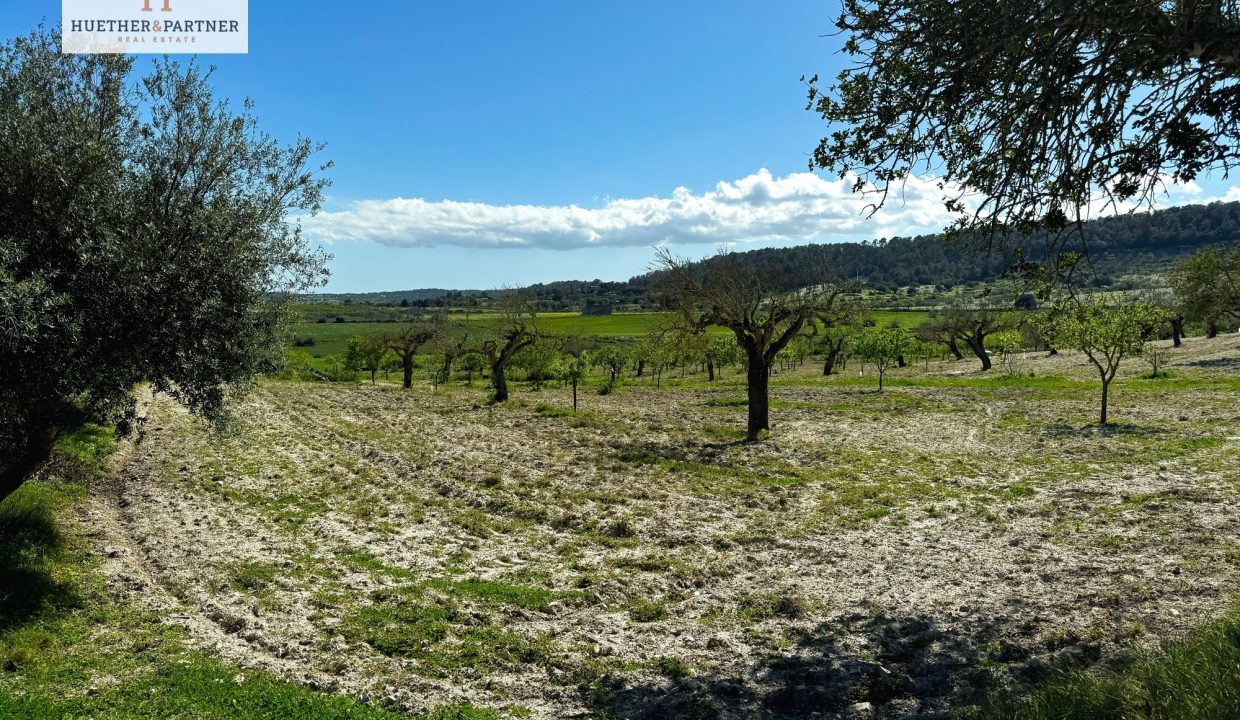 c8fcd8cf-3fe4-4531-96af-411638650508