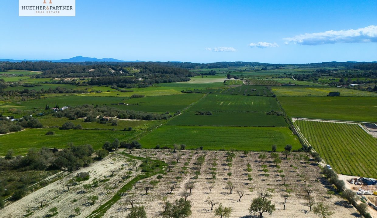 fde62a3b-361c-4106-a524-bd82773a710d