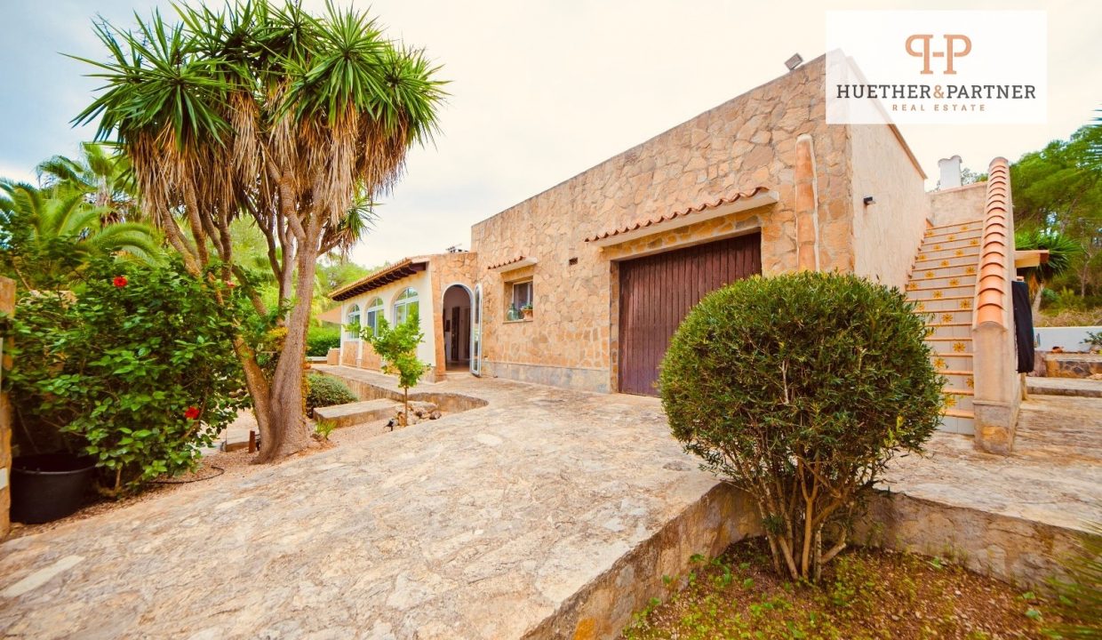 04ee5138-06a2-4815-a5de-3f26666781e9