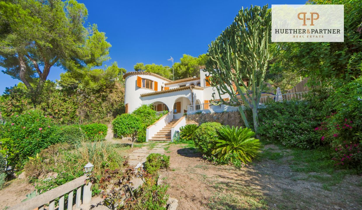 0c03e2ab-a1c7-4bed-8fce-901e364199c9