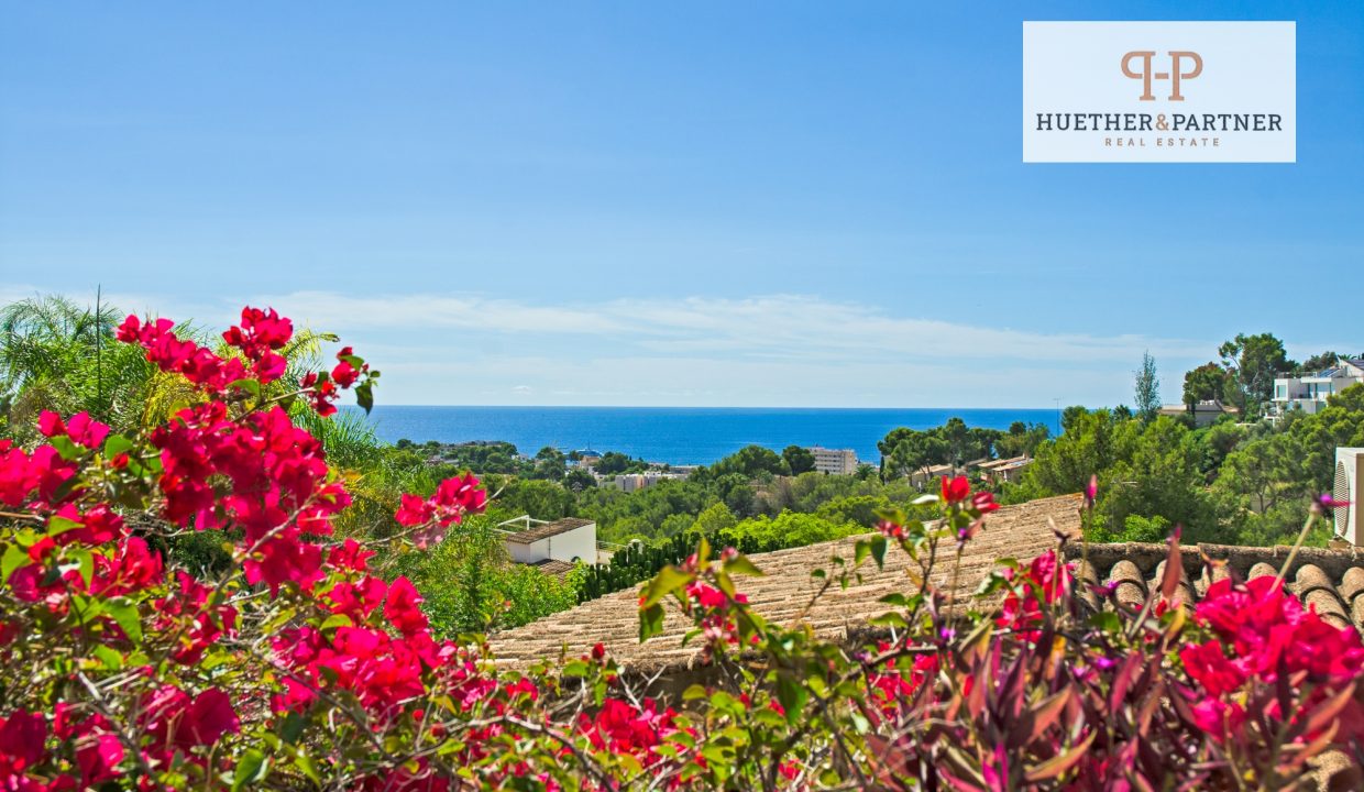 881112ac-237b-4670-a748-c40c2800a8ef