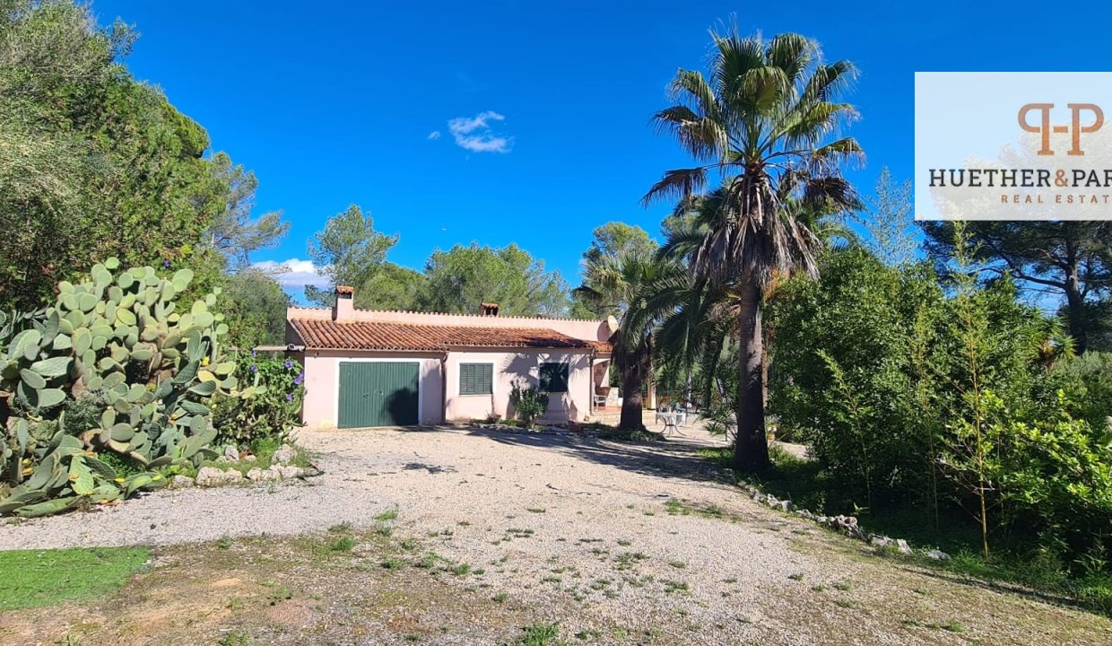 9415d55f-0b98-49c5-86f3-bdac0392280d